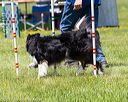 20170520-neat-1461