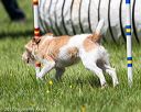 20170520-neat-1466