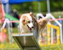 20170520-neat-1497