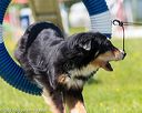 20170520-neat-1509