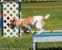 20170520-neat-0705