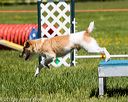 20170520-neat-0706