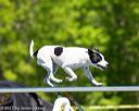 20170520-neat-0715