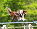 20170520-neat-0730