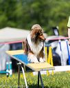 20170520-neat-0750