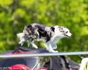 20170520-neat-0756
