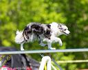 20170520-neat-0758