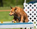 20170520-neat-0785