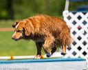 20170520-neat-0787