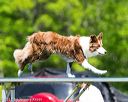 20170520-neat-0797