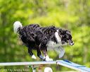 20170520-neat-0834
