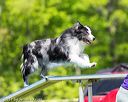 20170520-neat-0850