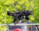 20170520-neat-0912