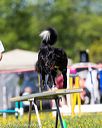20170520-neat-0929