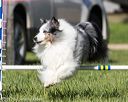 20170520-neat-2705