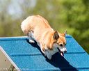 20170520-neat-1228