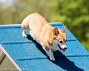 20170520-neat-1229