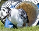 20170520-neat-1189