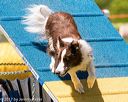20170520-neat-1203