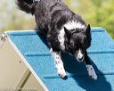 20170520-neat-1216