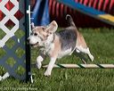 20170520-neat-0002