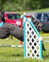 20170520-neat-2474