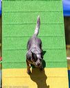 20170521-neat-1627