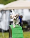 20170521-neat-0456