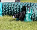 20170521-neat-0213
