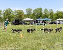 20170521-neatmc-0008