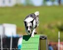 20170521-neat-1803