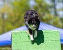 20170521-neat-1673