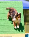 20170521-neat-1709