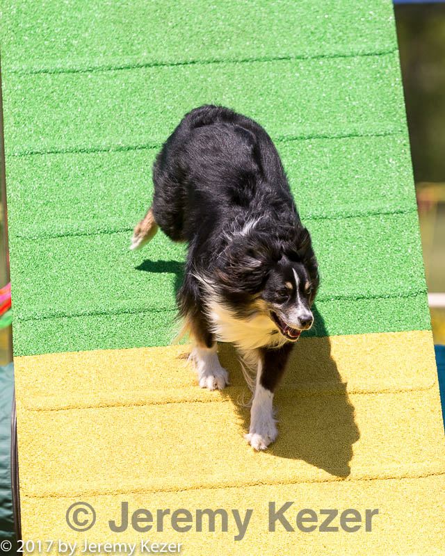 20170521-neat-1677.jpg