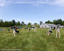 20170521-neatmc-0019