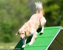 20170521-neat-0285