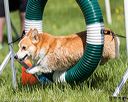 20170521-neat-0303