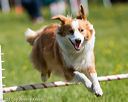 20170521-neat-0376