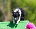 20170521-neat-0399