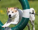 20170521-neat-0422