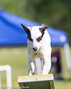 20170521-neat-0053