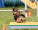 20170521-neat-0744