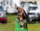 20170521-neat-0756