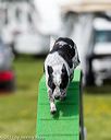 20170521-neat-0696