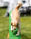 20170521-neat-0654