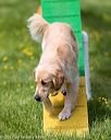 20170521-neat-0658