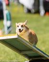 20170521-neat-1247