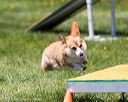20170521-neat-1254