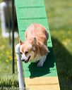 20170521-neat-1262