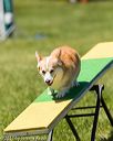 20170521-neat-1271